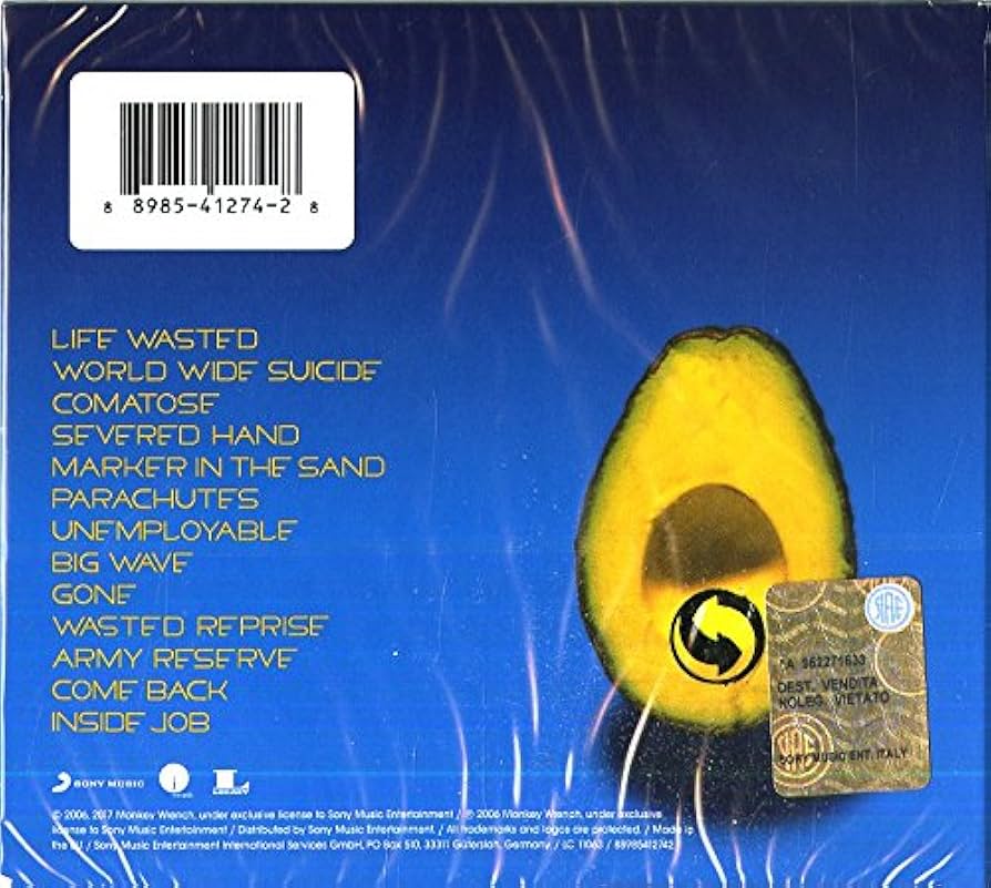 Pearl Jam: Pearl Jam, Pearl Jam, Multi-Artistes, Pearl Jam